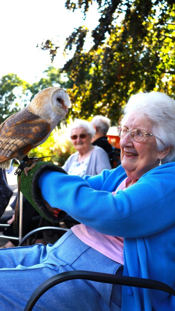 Berkshire Birds of Prey