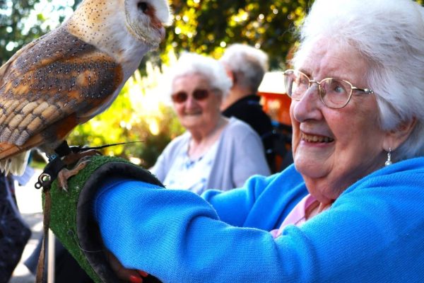 Berkshire Birds of Prey