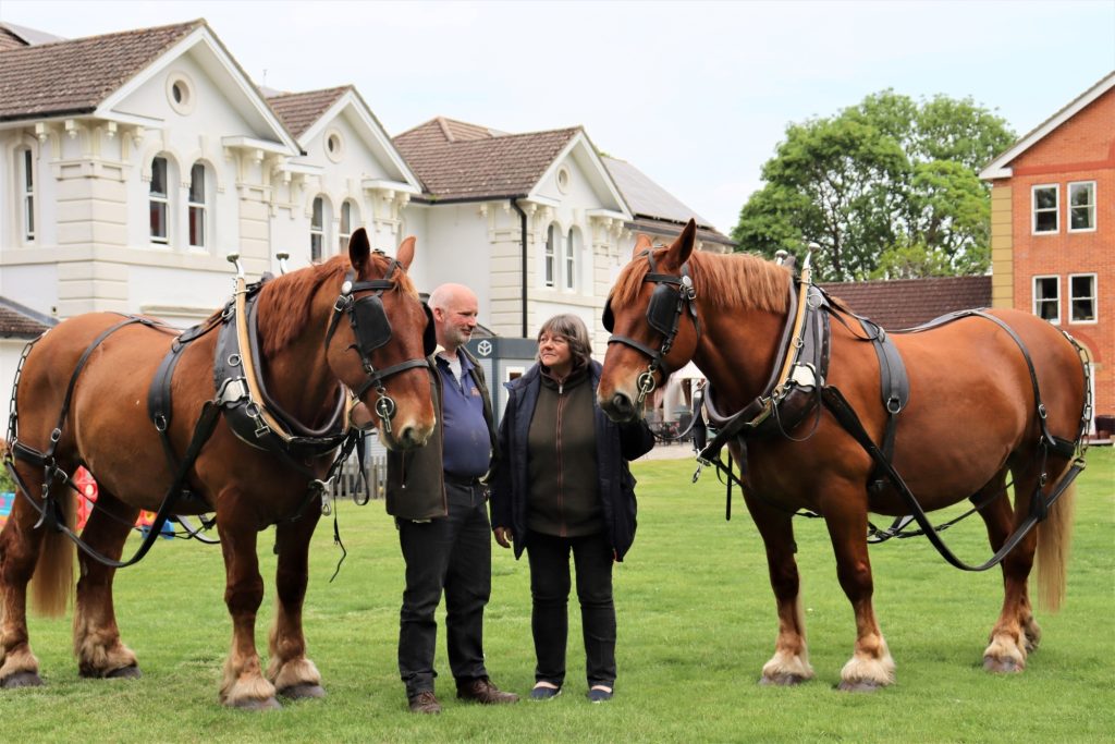 Horse-Drawn Carriage Rides