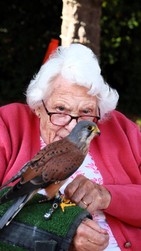 Berkshire Birds of Prey
