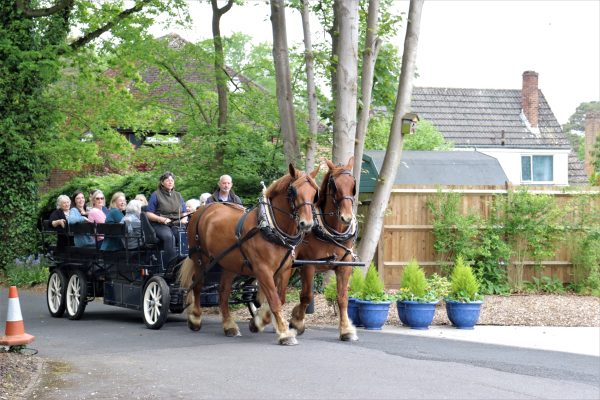 Horse-Drawn Carriage Rides