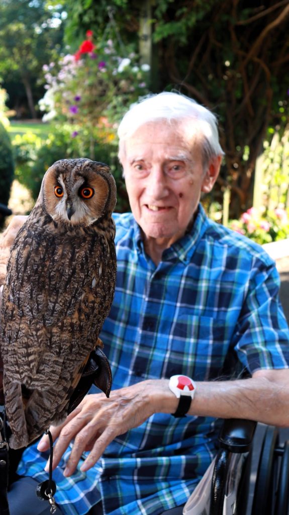 Berkshire Birds of Prey