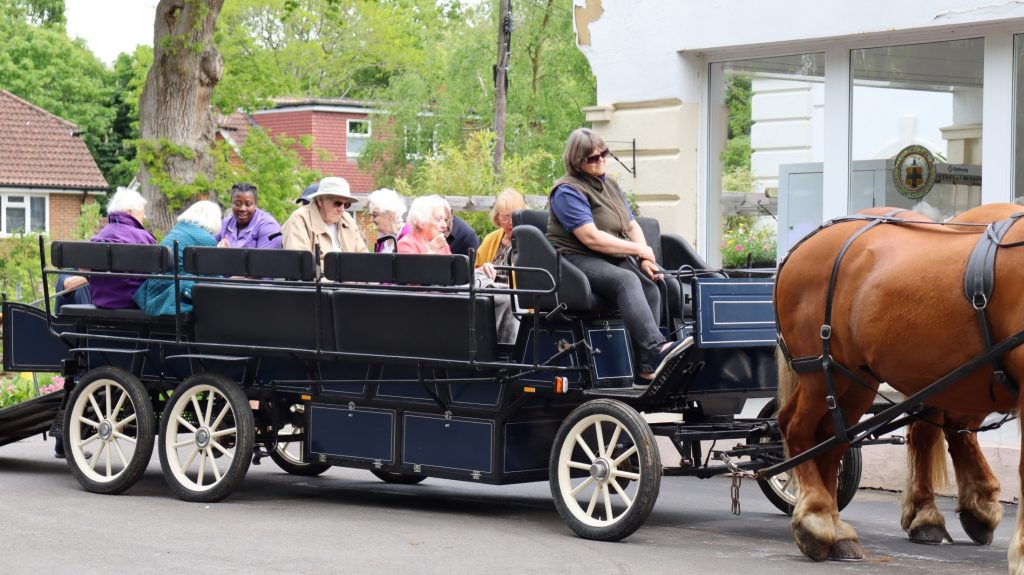 Horse-Drawn Carriage Rides