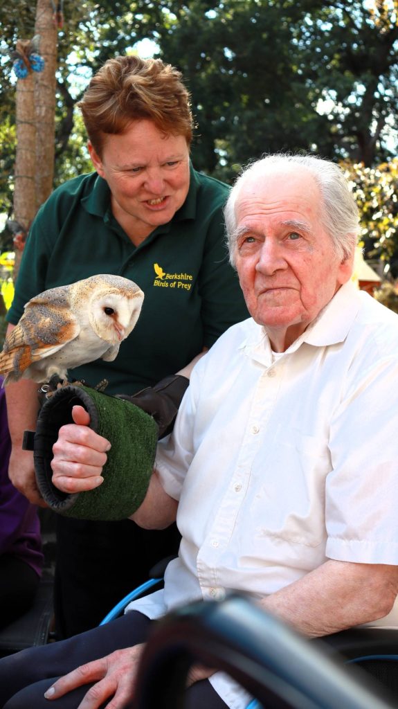 Berkshire Birds of Prey