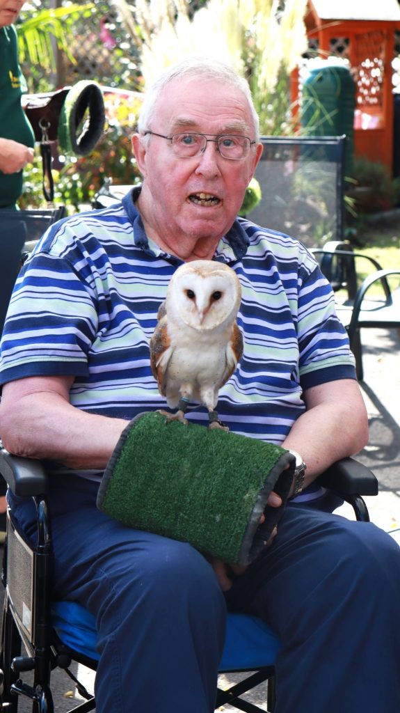 Berkshire Birds of Prey