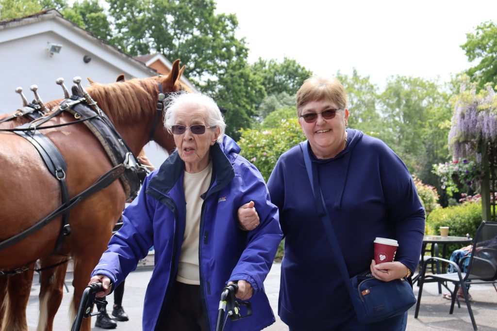 Horse-Drawn Carriage Rides